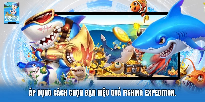 Áp dụng cách chọn đạn hiệu quả fishing expedition.