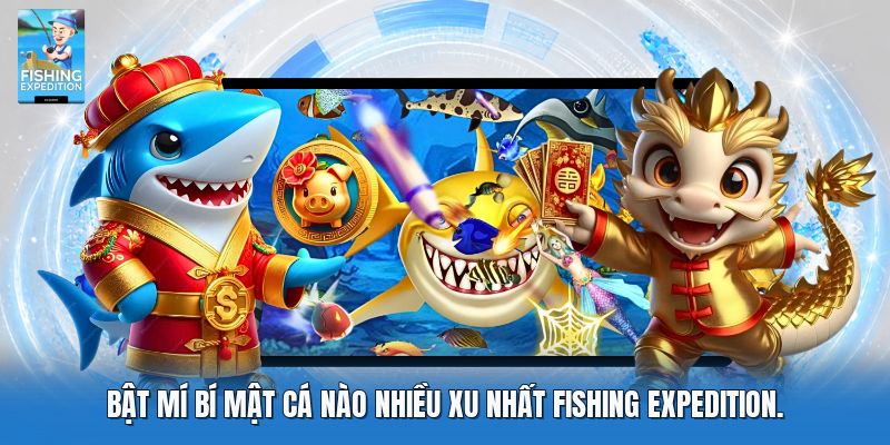 Bật mí bí mật cá nào nhiều xu nhất fishing expedition
