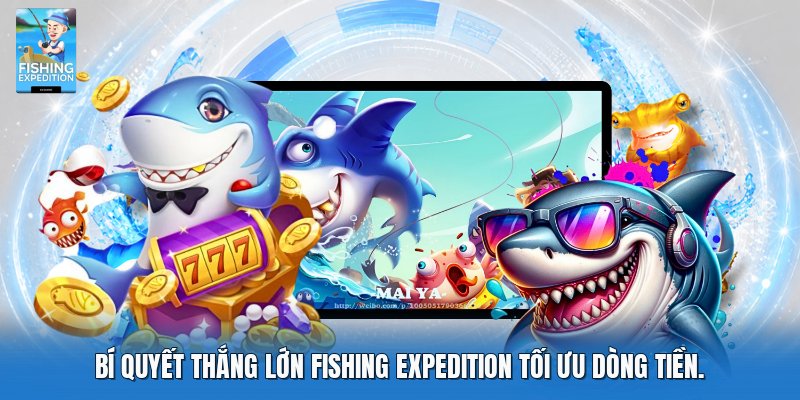 Bí quyết thắng lớn fishing expedition tối ưu dòng tiền