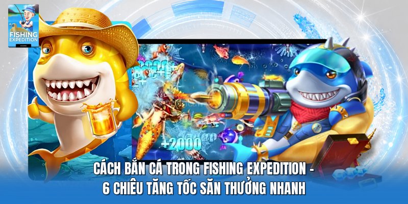 Cách Bắn Cá Trong Fishing Expedition | 6 Chiêu Tăng Tốc