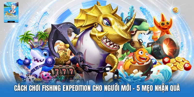 Cách Chơi Fishing Expedition Cho Người Mới | 5 Mẹo Nhận Quà