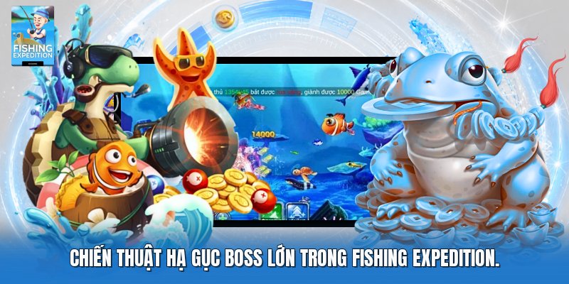 Chiến thuật hạ gục boss lớn trong fishing expedition