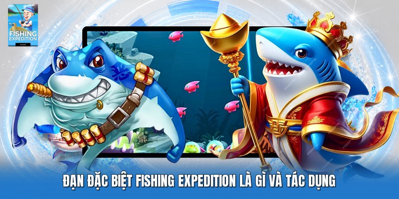 Đạn đặc biệt fishing expedition là gì và tác dụng