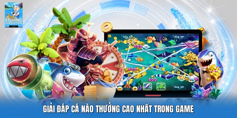 Giải đáp cá nào thưởng cao nhất trong game Giải đáp cá nào thưởng cao nhất trong game