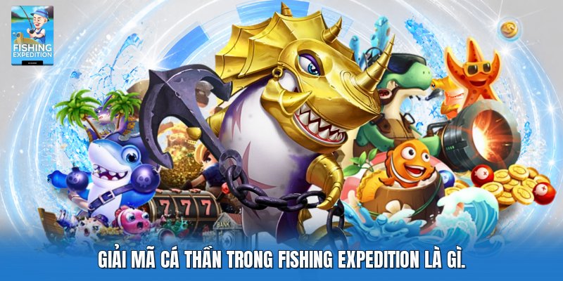 Giải mã cá thần trong fishing expedition là gì