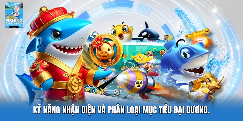 Kỹ năng nhận diện và phân loại mục tiêu đại dương