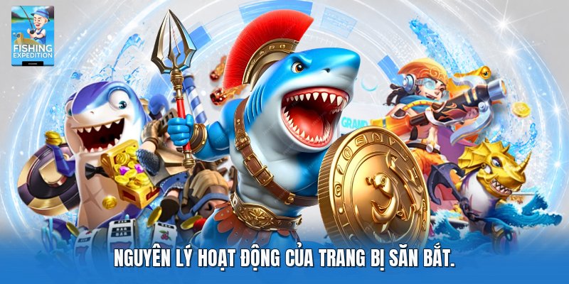 Nguyên lý hoạt động của trang bị săn bắt.